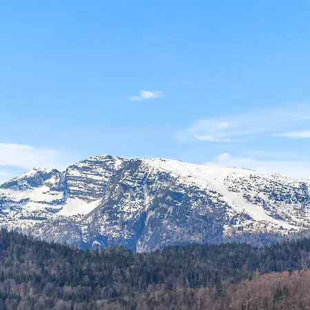 Soho Mountain - Pool Und Sauna Reit im Winkl