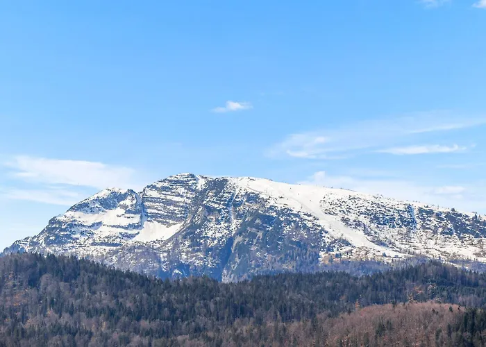 Soho Mountain - Pool Und Sauna Reit im Winkl